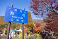 YAMANASHI, JAPAN - NOV. 22, 2016: Momiji kairo festival is beautiful autumn color of Japan maple leaves in Maple corridor at Royalty Free Stock Photo