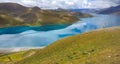 Yamdrok Lake, also known as Yamdrok Yumtso, is a freshwater lake in Tibet surrounded by many snowcapped mountains Royalty Free Stock Photo