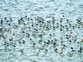 Yamuna river in Agra Royalty Free Stock Photo