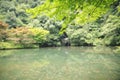 Yan Shu Jiuxi , Nature park scenery, Hangzhou Royalty Free Stock Photo