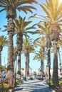 Yanahuara Plaza with the Arches on background - Arequipa, Peru, Palm trees in the square of Yanahuara.