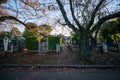 Yanaka Cemetery, Japan Tokyo