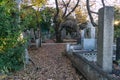 Yanaka Cemetery, Japan Tokyo