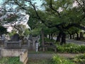 Yanaka Ginza Cemetery Graveyard: Tokyo\'s Timeless Enclave, Tokyo, Japan