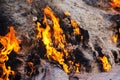 Yanar Dag natural fire in Azerbaijan Royalty Free Stock Photo