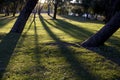 Yanchep National Park Royalty Free Stock Photo