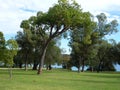 Yanchep National park, Western australia