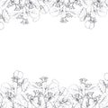 Yand drawing Flower border. Floral horizontal banner with spring and summer blooming herbs