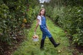 yang girl with basket full of ripe apples in a garden or farm near trees