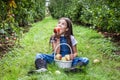 yang girl with basket full of ripe apples in a garden or farm near trees