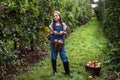 yang girl with basket full of ripe apples in a garden or farm near trees