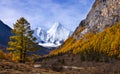 The Yang Maiyong Snow Mountain in autumn