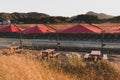 Yangju,South Korea-October 2020: Red parasol umbrella with table and chair at the Pink Muhly flower grass field at Yangju Nari