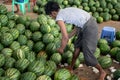 A local burmese man in traditional longyi lifts up a fresh watermelon from a huge pile at a street market in Yangon