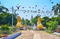 The pigeons at Mahavijaya Pagoda, Yangon, Myanmar