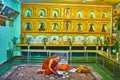 The Bhikkhu monk in Chaukhtatgyi Buddha Temple, Yangon, Myanmar