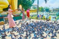 Feeding pigeons in Maha Wizaya Mahavijaya Pagoda, Yangon, Myanmar