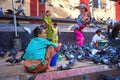 Indian family surrounded with pigeons. Two nearby vendors are ready to sell them pigeon food.