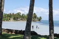 coastal scene through palm tree trunks with boys in water spearing fish