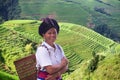 Yao ethnic woman on the rice fields Royalty Free Stock Photo