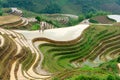 Yaoshan Mountain, Guilin, China hillside rice terraces
