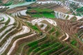 Yaoshan Mountain, Guilin, China hillside rice terraces