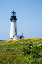 Yaquina Head Lighthouse In Bloom