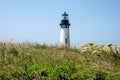 Yaquina Head Lighthouse In Bloom