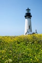 Yaquina Head Lighthouse in bloom Royalty Free Stock Photo