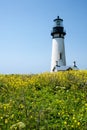 Yaquina Head Lighthouse in bloom