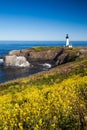 Yaquina Head Lighthouse, Oregon, USA Royalty Free Stock Photo