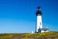 Yaquina Head Lighthouse, Oregon, USA Royalty Free Stock Photo