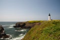 Yaquina Head Lighthouse with wildflowers Royalty Free Stock Photo