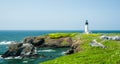 Yaquina Head Lighthouse with wildflowers