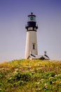 Yaquina Lighthouse embellished by wildflowers on the Oregon Coast Royalty Free Stock Photo