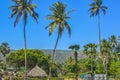 Yarada Beach, Vishakhapatnam, Andhra Pradesh, India December 2018 - Coconut palm trees against blue sky and staw hut on a tropical