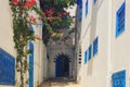 Yard with blue windows and doors with Arabic ornaments, Sidi Bou Said, Tunisia, Africa