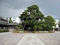 Yard of a Buddhist temple in Tokyo Royalty Free Stock Photo