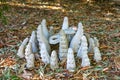 Yard decor of octopus trendils rising from leaf covered shady forest floor