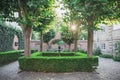 Yard with four trees and square hedge