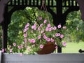 Yard and Garden Decorative Hanging Flower Pot Royalty Free Stock Photo