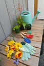 Yard and garden tools for spring and summer gardening with plants Royalty Free Stock Photo