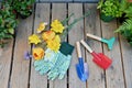 Yard and garden tools for spring and summer gardening with plants Royalty Free Stock Photo