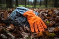 Yard seasonal cleaning leaves tool gardening foliage pile fall autumn work rake Royalty Free Stock Photo