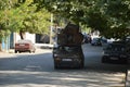 A yard in Tbilisi, republic of Georgia