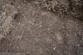 Yard work, preparation soil in garden