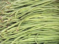 Yardlong bean texture