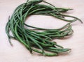 Yardlong beans Royalty Free Stock Photo