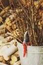 Yardwork, seasonal garden work. Pruning twigs. Royalty Free Stock Photo