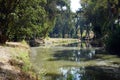 Yarkon river Royalty Free Stock Photo
